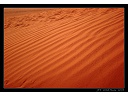 2008-03-16-WadiRum1.jpg