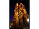 2010-02-29-Strasbourg.jpg