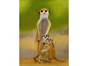 2011-07_Pastel_Suricates.jpg