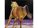 2011-06_Huile_Cheval.jpg