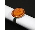 2012-11-04-Bague1-Pernambouc.jpg
